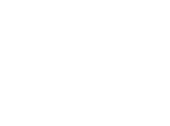 Vector (1) (1)