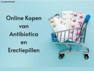 Online Kopen van Antibiotica en Erectiepillen